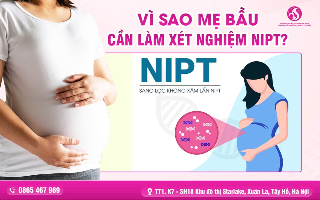 Vì Sao Mẹ Bầu Cần Làm Xét Nghiệm NIPT